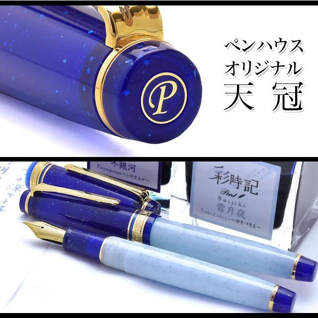 万年筆 雪ふゆ、満ちる。 セーラー万年筆 万年筆 Pent ペント 彩時記 雪月夜 ゆきづきよ Z MS