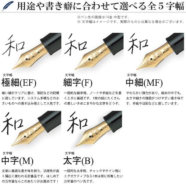 セーラー万年筆 万年筆 名入れ プロフィット カジュアル シルバー