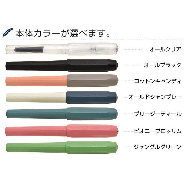 Kaweco（カヴェコ） 万年筆 パケオ ブリスター KAWECO-100022