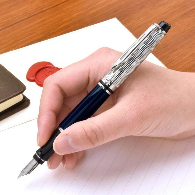 WATERMAN 万年筆 ウォーターマン 限定品 エキスパート WATERMAN 万年筆 ウォーターマン 限定品 エキスパート