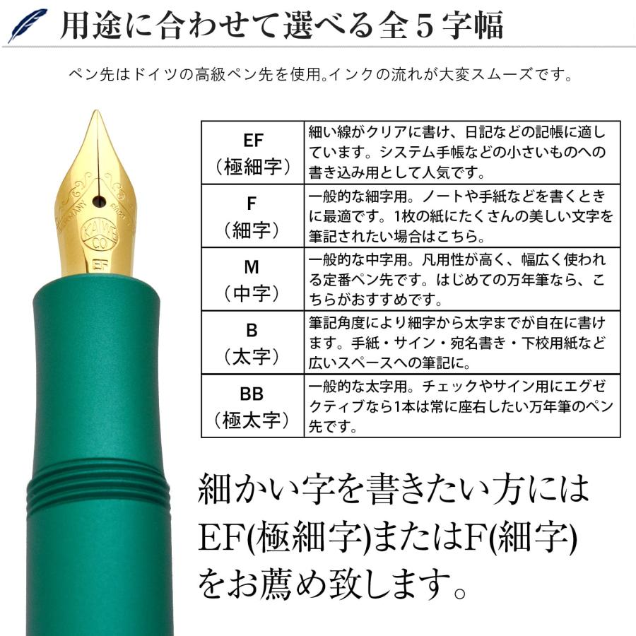 Kaweco（カヴェコ） 万年筆 コレクション限定品 ALスポーツ イグアナ