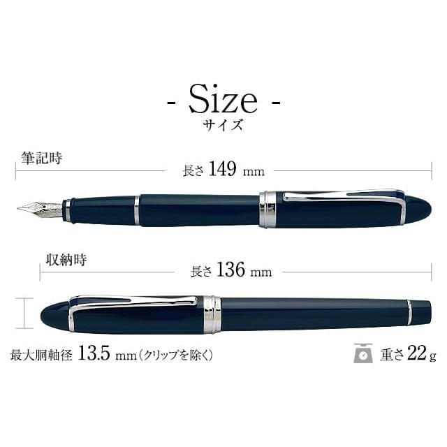 イプシロン AURORAアウロラ 万年筆 デラックス プレゼント ギフト