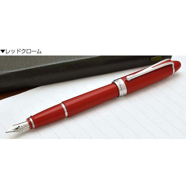 イプシロン AURORAアウロラ 万年筆 デラックス プレゼント ギフト