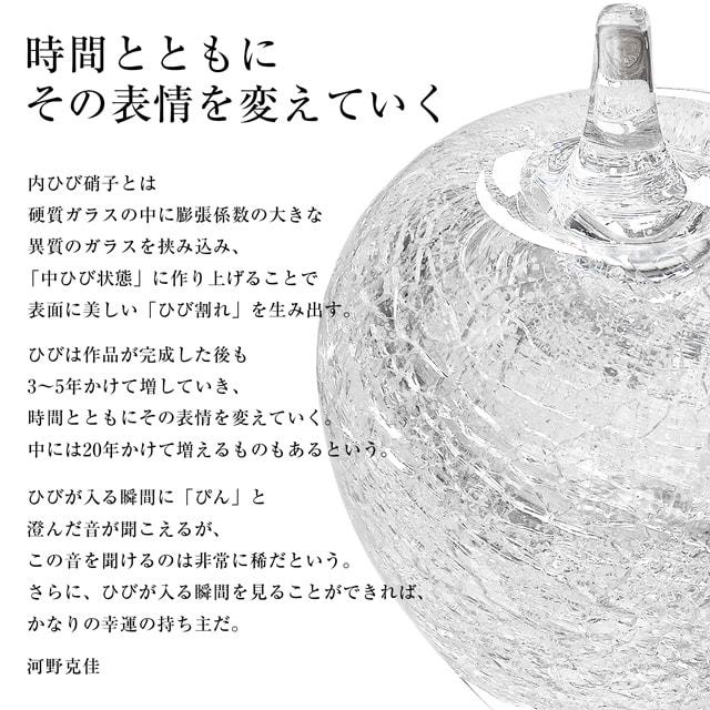 ペーパーウェイト！ ガラスアート ペーパーウェイト Pent ペント アートファクトリー 内ひび硝子