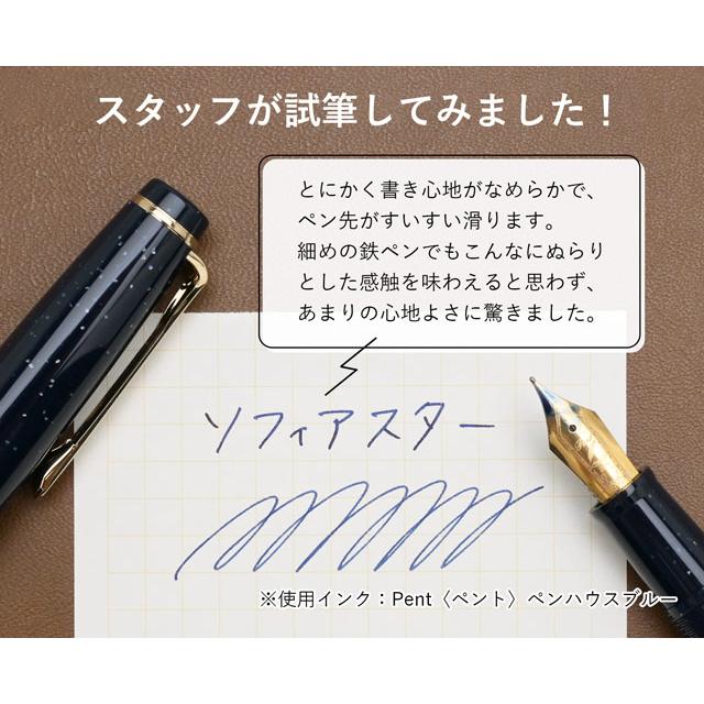 セーラー万年筆 万年筆 名入れ ペンハウスオリジナル Pent ペント