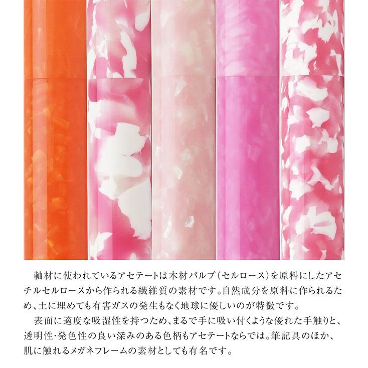万年筆 ペント Pent 大西製作所 コルト プラントコレクション 特別生産品 数量限定 あすつく ギフト プレゼント 母の日 爆買の画像