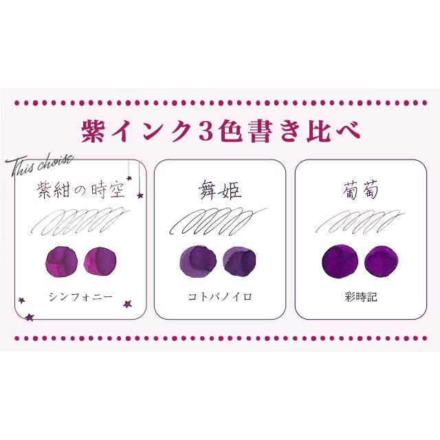 万年筆 ボトルインク セット ペント Pent シンフォニー ラルゴ 紫紺の