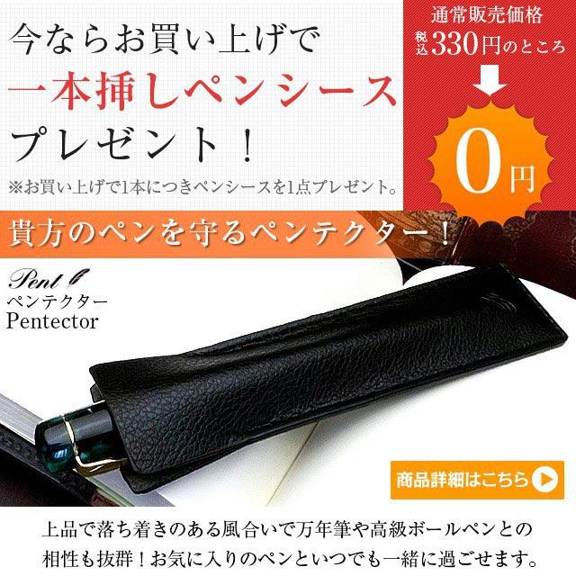 万年筆 ボトルインク セット ペント Pent シンフォニー ラルゴ 紫紺の