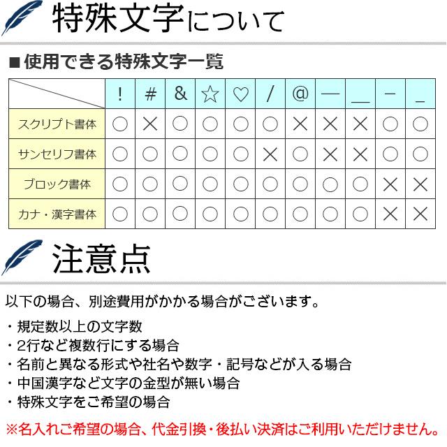 名入れ 万年筆 アウロラ イプシロン イタリア アズーラ B17-A AURORA クリスマス ギフト プレゼント 爆買 | イプシロン | 11