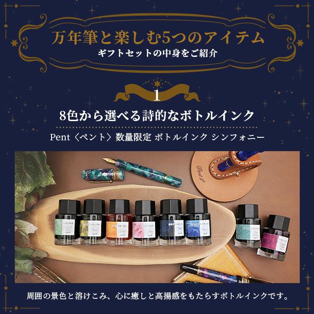 セーラー万年筆 万年筆 名入れ ギフトセット 入門 初心者 Pent