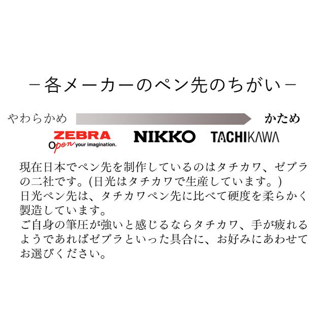 ZEBRA（ゼブラ） Gペン 100本入り PG-6C-C-K ZEBRA ペン先 漫画用