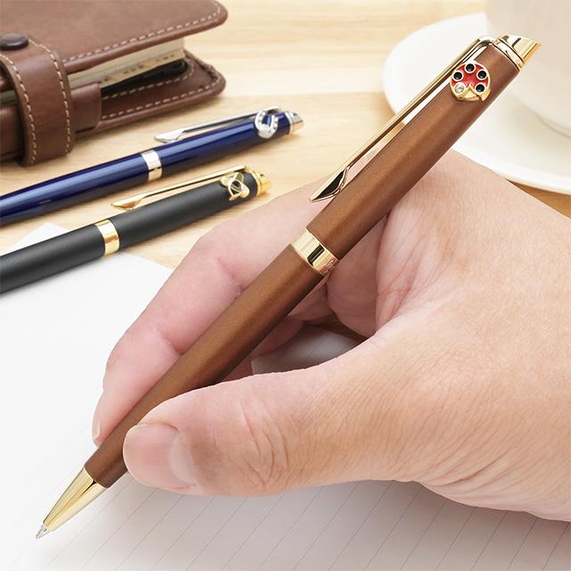 WATERMAN レッド ボールペン ケース付き 希少 WATERMAN レッド