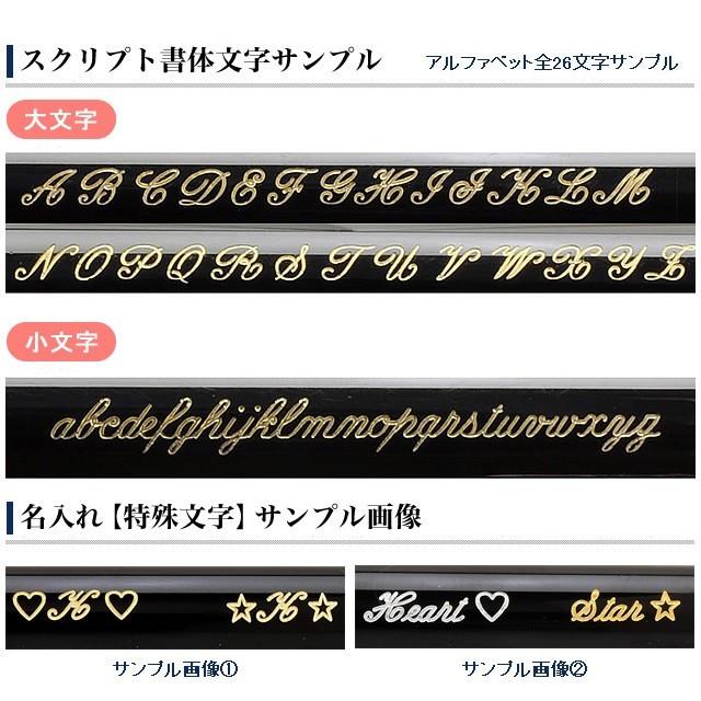 プラチナ万年筆 多機能ボールペン ダブルアクションスターリング