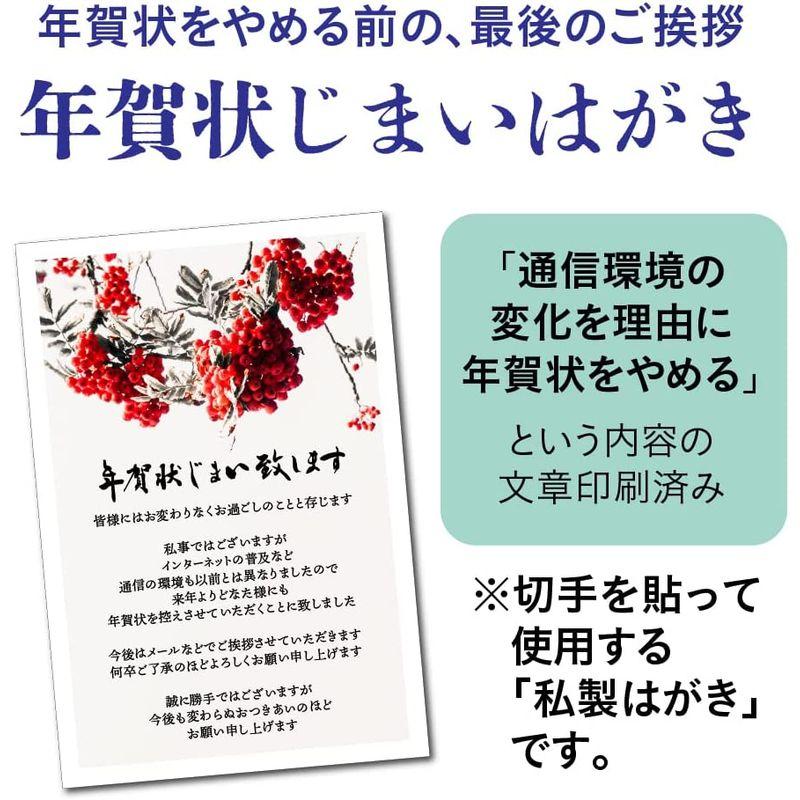 年賀状じまい はがき 年賀状やめたい 文章印刷済み 10枚入 （通信環境の変化を理由にした文章）｜pepe-shop｜03