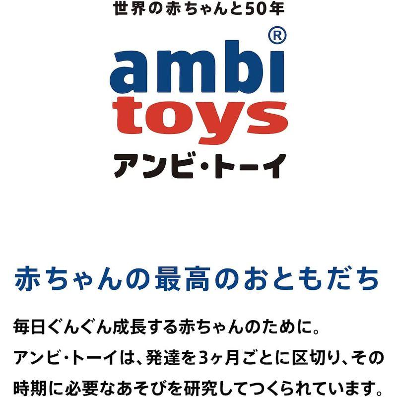 ボーネルンド アンビトーイ ( ambi toys ) ツイン・ラトル 6ヶ月頃から AM31133J｜pepe-shop｜03