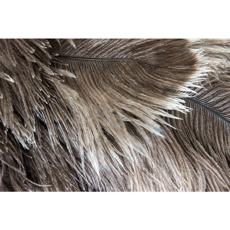 ESCI 日本製最高級の手造り毛ばたき オーストリッチ羽毛の最高品質「ファーストクラス・フロスフェザー」を使用 全長約103cm 専用ケース｜pepe-shop｜04