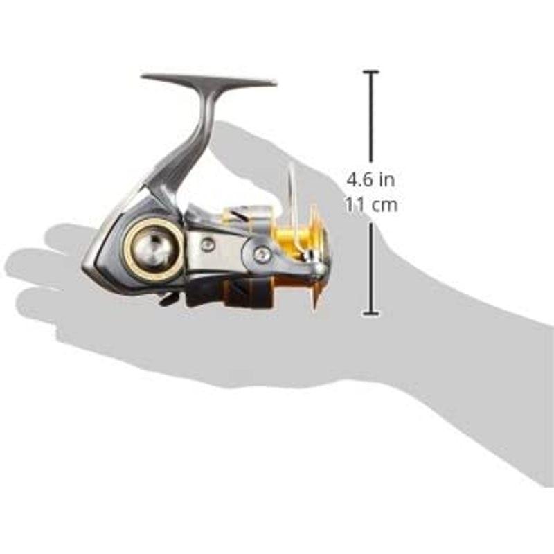 ダイワ(DAIWA) スピニングリール 17 ワールドスピン CF 3000 (2017モデル)｜pepe-shop｜05