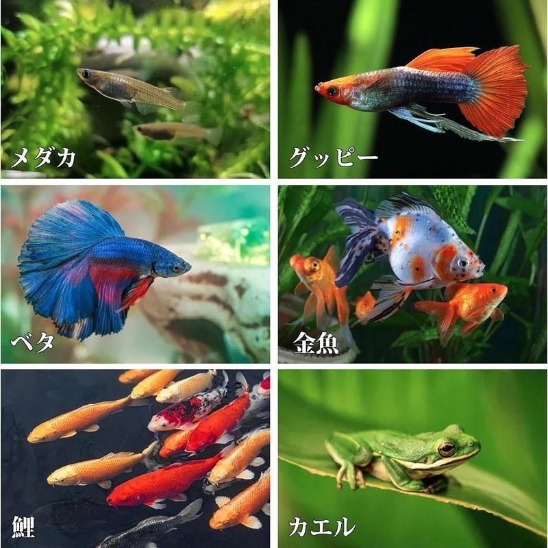 VORCOOL 産卵草 水草 メダカ 金魚 人工水草 水槽水景 浮草 産卵 熱帯魚 エビ 水槽用品 2本セット 60cm｜pepe-shop｜03