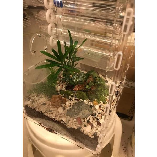 飼育用品 アリの巣 観察 大きな 透明 植物スペース アクリル アリファーム 昆虫 ペット 自宅 家 装飾 昆虫