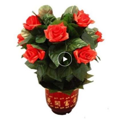 手品 マジック グッズ 花 パーティーグッズ ブルーミングローズブッシュ リモートコントロール 10花 The Bouquet by Bond Lee \u203b_ ｜全商品一覧や手品グッズ揃うマジック