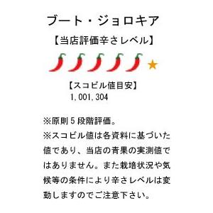 国産 生激辛唐辛子 ブート・ジョロキア 冷凍品 250g 千葉県産