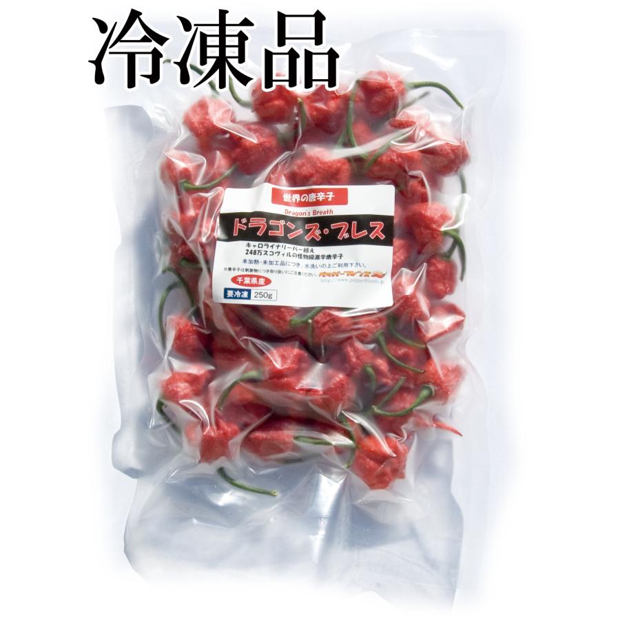 激辛 赤辣妹子 激辛 赤絲椒 セット長野県産12キロ 激辛 赤辣妹子 激辛 赤絲椒 セット長野県産12キロ