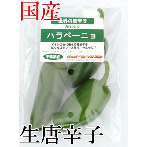 【冷蔵便】国産　生唐辛子　 ハラペーニョ　グリーン　 70g　生鮮品　千葉県産｜pepperfriends