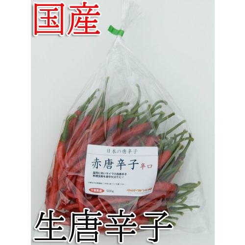 【冷蔵便】国産　生　赤唐辛子　辛口　500g　生鮮品　千葉県産｜pepperfriends