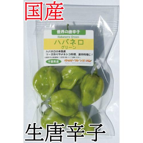 冷蔵便】国産 激辛生唐辛子 ハバネロ グリーン 50g 生鮮品 千葉