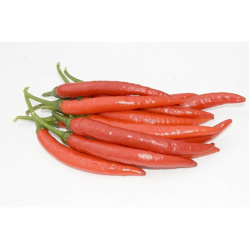 【ネコポス・送料無料】国産 生 赤唐辛子 辛口 150g 生鮮品 千葉県産|pepperfriends|03