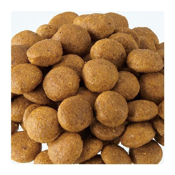 現品発送 ロイヤルカナン マキシ アダルト 15kg 成犬 チキン 大型犬 ドッグフード ロイカナ ドライフード 【1761153008】(10132円)