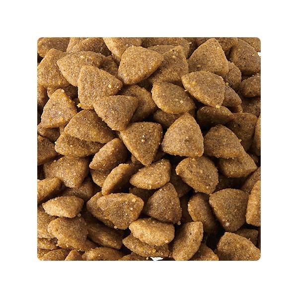ロイヤルカナン（ROYAL CANIN） ミニ インドア アダルト 2kg 成犬用