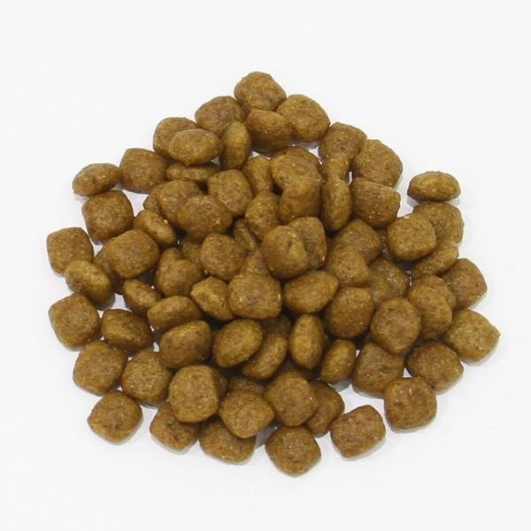 ロイヤルカナン（ROYAL CANIN） 柴犬 子犬用 3kg チキン パピー