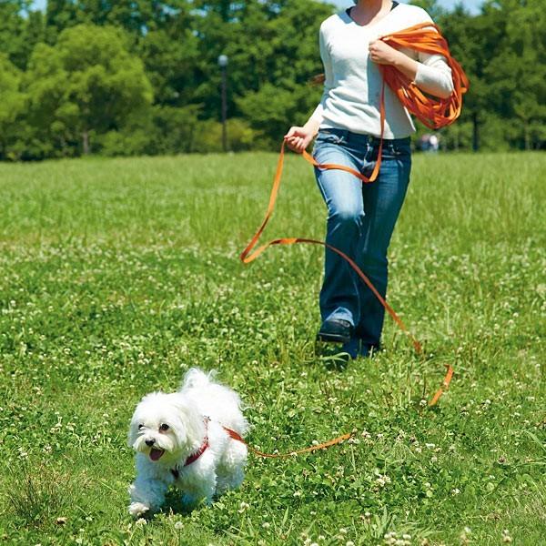 犬リード 軽量ロングリード 長さ10m 幅1 5cm 散歩 リード ひも 鎖 おでかけ ドッグラン 長い 国産 日本産 01 Peppy ペピイ Yahoo 店 通販 Yahoo ショッピング