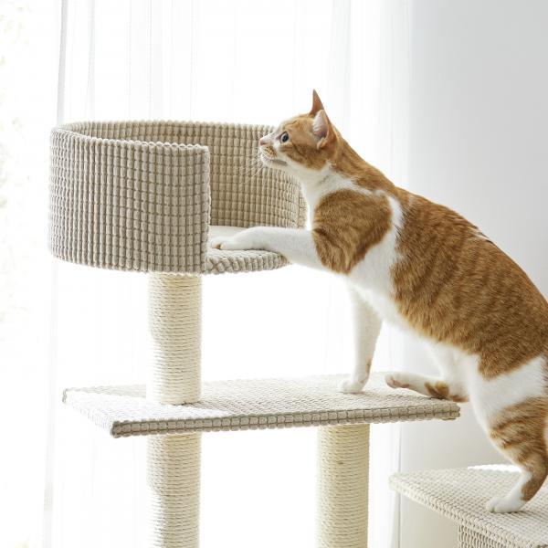 PEPPY キャットタワー ローステップタワー 全高97cm 据え置き