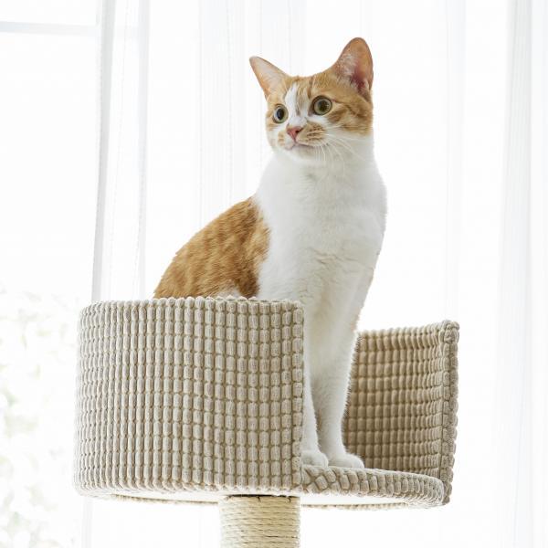 GW 最終値下げ！ 新品 PEPPY キャットケージ ウッディー