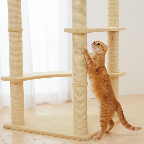 キャットタワー キャットハンモックタワー ワイド 全高168cm 猫タワー 