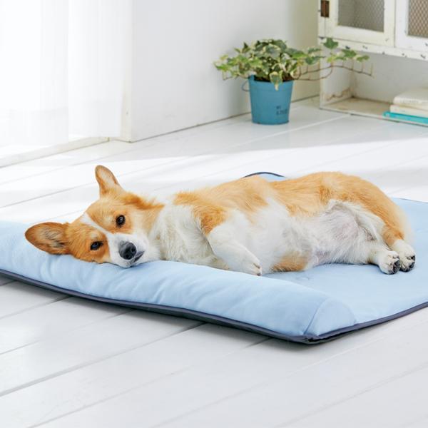 送料無料 当日発送可能 犬 猫 クール ソフトクールマット 枕付き Lサイズ 鉱石 小型犬 中型犬 大型犬 夏用 ベッド ひんやり 涼感加工 防水 夏4 400円 Aynaelda Com