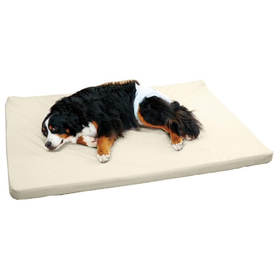 PEPPY 老犬 シニア アルテア体圧分散マット Sサイズ 介護用品 老 PEPPY 老犬 シニア アルテア体圧分散マット Sサイズ 介護用品 老