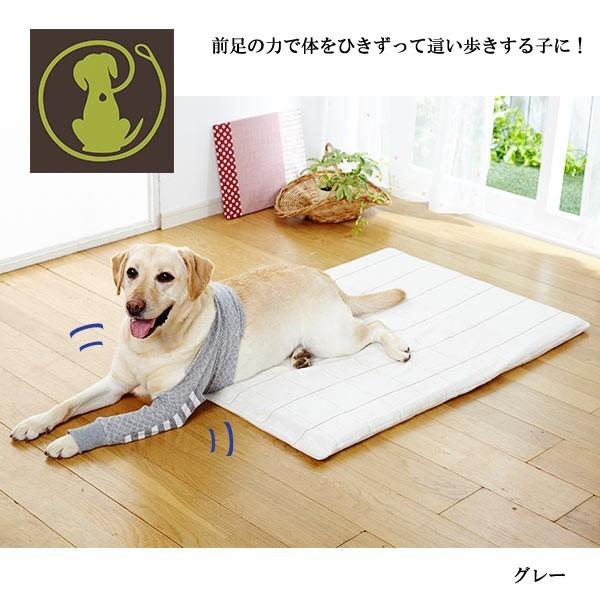 ポケット付ひじあて Lサイズ 介護用品 シニア 肘当て 床ずれ 腕 肘 老犬 老齢犬 犬用品 小型犬 中型犬 大型犬 猫用品 国産 日本産 Peppy ペピイ Paypayモール店 通販 Paypayモール