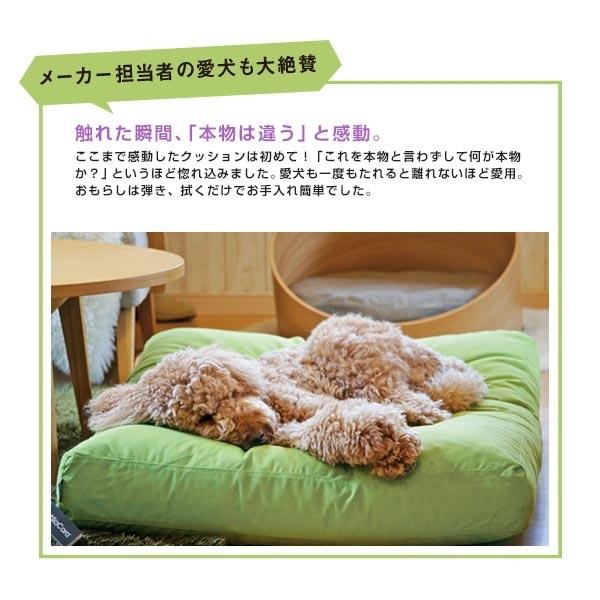 犬ベッド MiaCara （ミアカラ） ドッグクッション ルビオ Mサイズ 小型