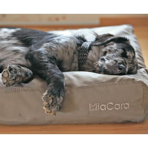 犬ベッド MiaCara （ミアカラ） ドッグクッション ルビオ Lサイズ 小型犬 中型犬 大型犬 猫 ペット 高品質 はっ水 撥水 シニア 老犬  シニア猫 介護