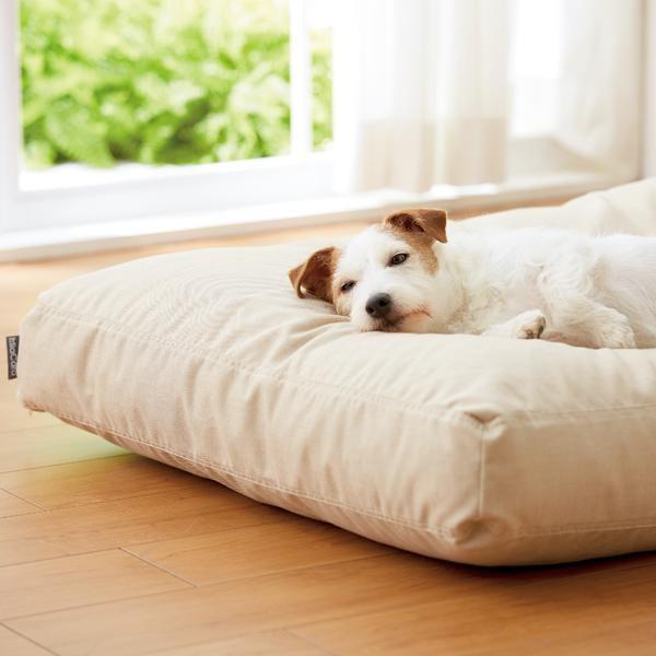 犬ベッド MiaCara （ミアカラ） ドッグクッション ルビオ Sサイズ 小型犬 中型犬 猫 ペット 高品質 はっ水 撥水 シニア 老犬 シニア猫  介護