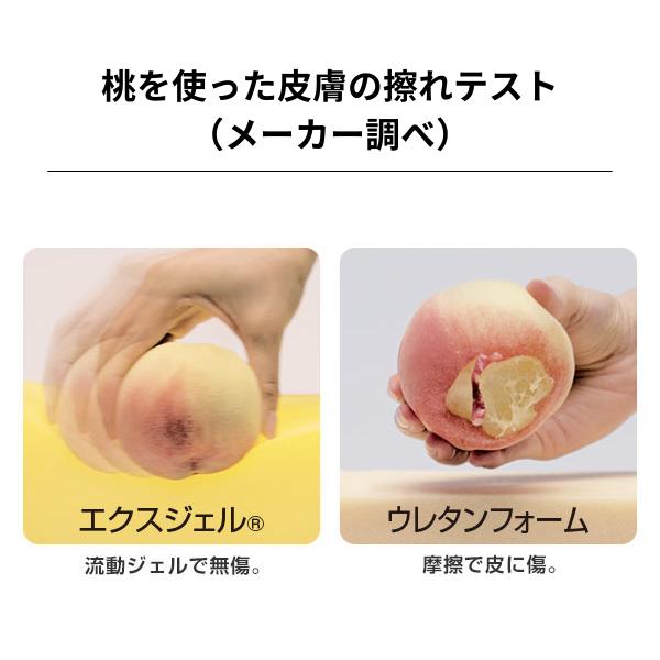 PEPPY（ペピイ） 老犬 シニア エクスジェルマット 介護用品