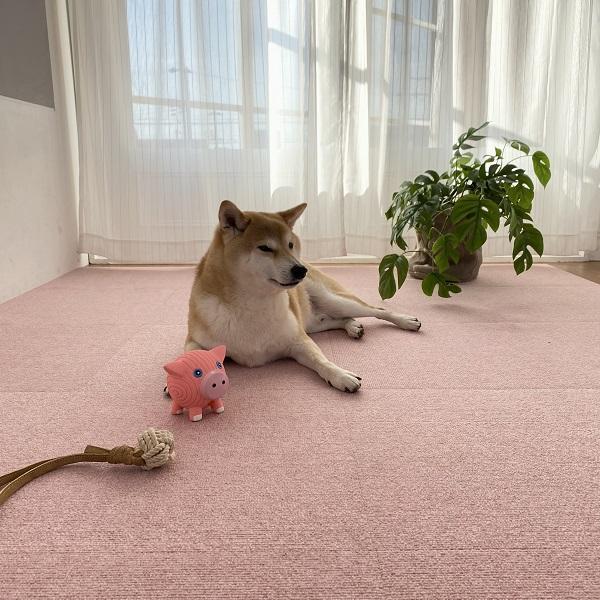 サンコー ペットマット 滑り止め ピタッと吸着タイルマット スクエア