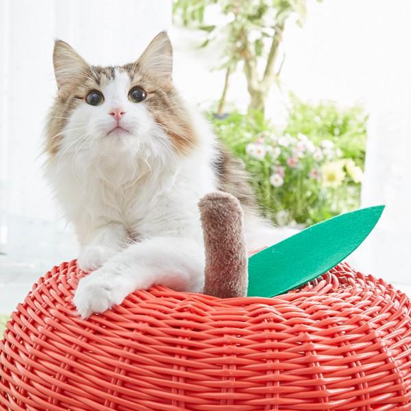 PEPPY（ペピイ） セール34％OFF 幸せのりんごハウス ベッド 猫 ペピイ