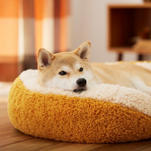 抗菌防臭ふんわりアニマルベッド オレンジL PEPPY 犬 猫 ベッド 抗菌防臭ふんわりスクエアベッド L