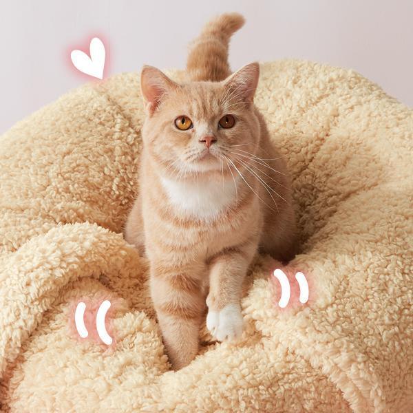 新品♥海外からやってきた物♥猫のタペストリー　ブランケット　ベッドカバー HERE THROWKET スローケット タペストリーラグ ソファー ギフト