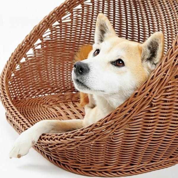 ラタン調コクーンベッド Mサイズ 夏用 クール 小型犬 犬 犬用品 犬用