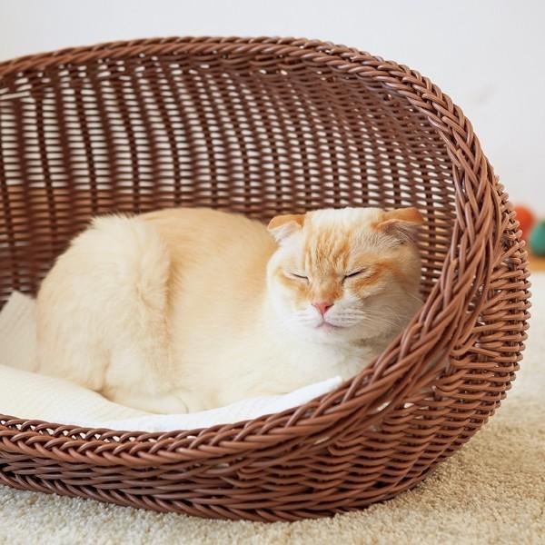 セール ラタン調コクーンベッド Sサイズ カゴ 犬 猫 ペット 小型犬 犬